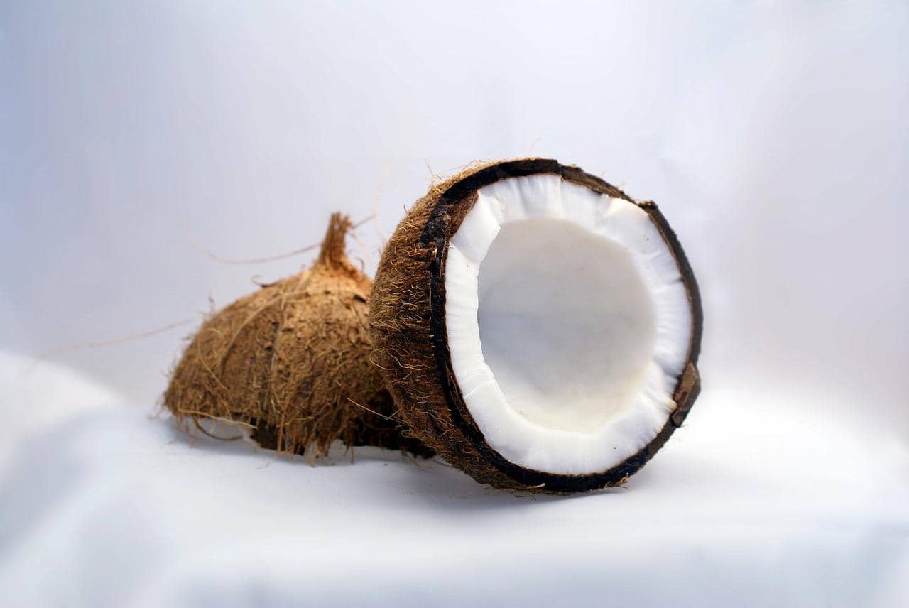 Coconut Handcrafted Goat Milk Soap