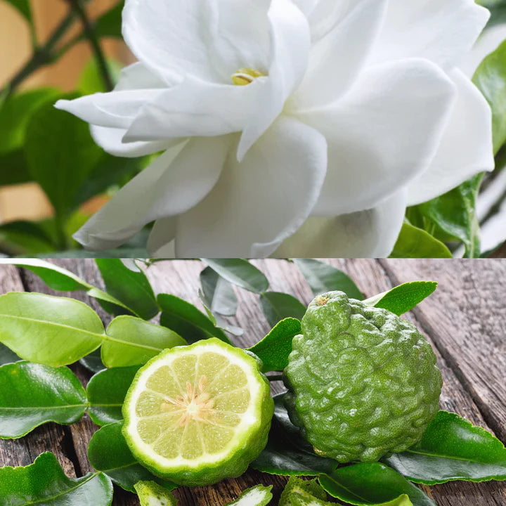 Bergamot Gardenia Handcrafted Goat Milk Soap