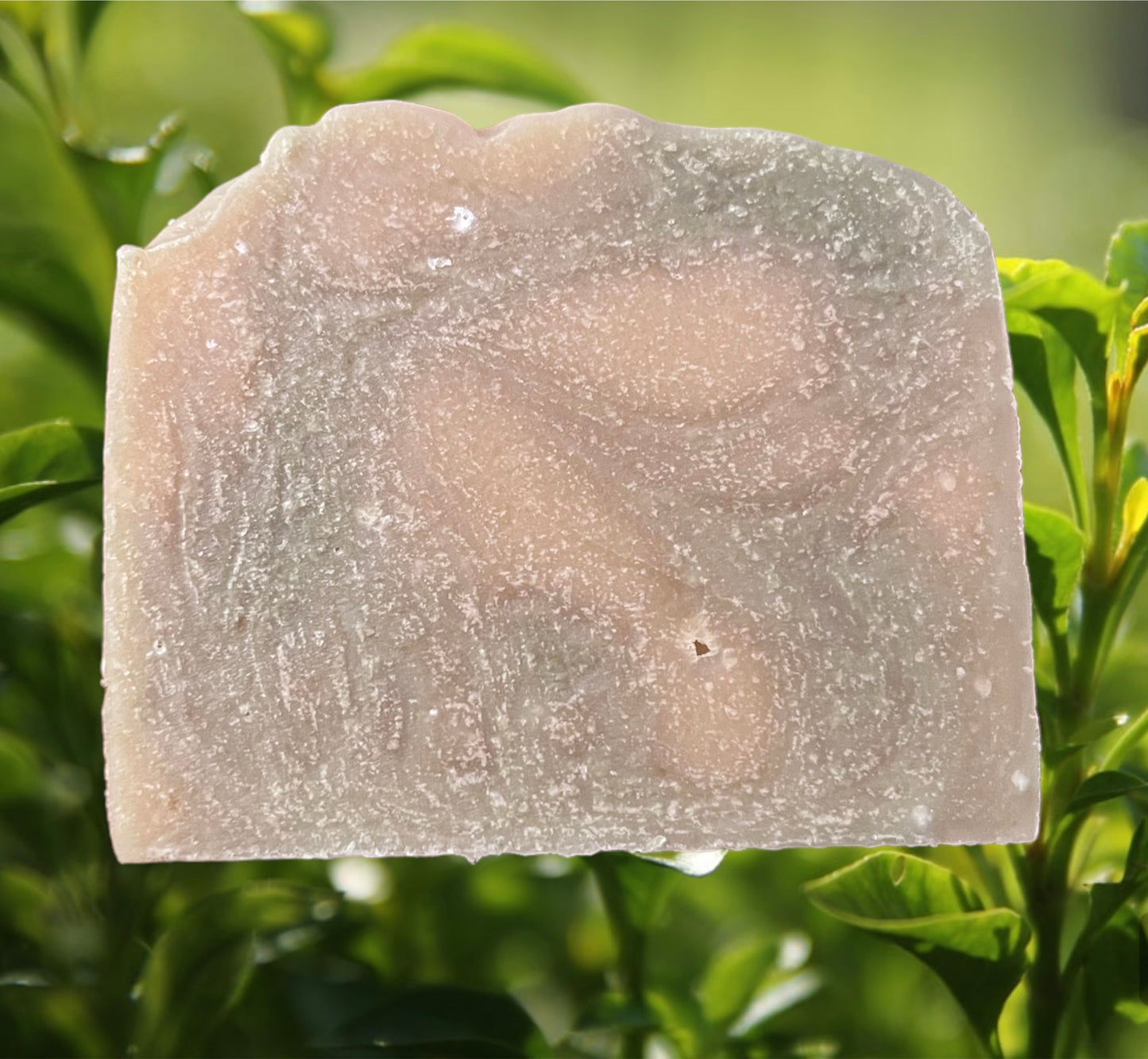 Green Tea & Cucumber Handcrafted Goat Milk Soap