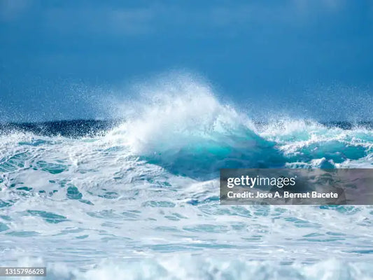 Ocean Mist Handcrafted Goat Milk Soap