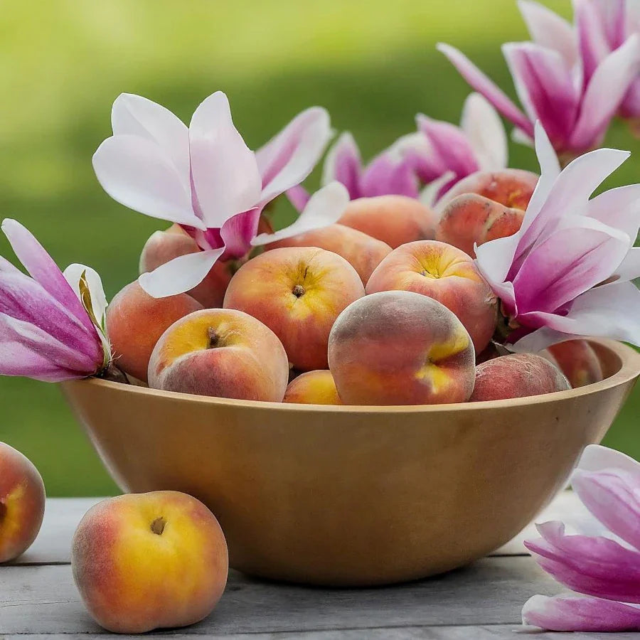 Peach Magnolia Handcrafted Goat Milk Soap